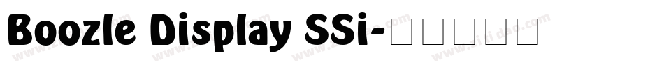 Boozle Display SSi字体转换